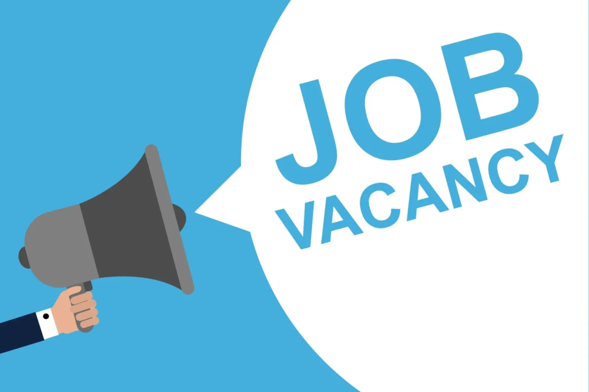 Lowongan Pekerjaan (UI/UX, Programmer, System Analyst, Project Manager)